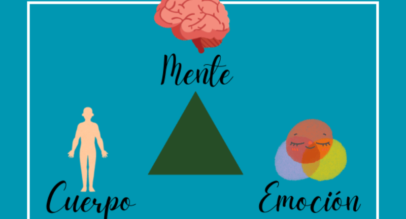 ¿Por qué reacciono así? El cuerpo tiene la respuesta